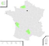 Bromus confertus Boreau - carte de répartition