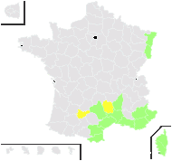 Bromus commutatus var. nanus Ten. - carte de répartition