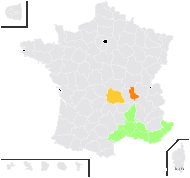 Sorghum gryllus (L.) Kuntze - carte de répartition