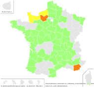 Corynephorus canescens (L.) P.Beauv. - carte de répartition