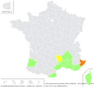 Aira caryophyllea var. divaricata (Pourr.) Steud. - carte de répartition