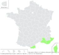 Secale villosum L. - carte de répartition