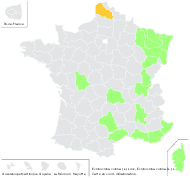 Panicum margaritaceum Link - carte de répartition