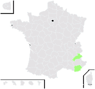 Elytrigia intermedia subsp. pouzolzii (Godr.) Á.Löve - carte de répartition