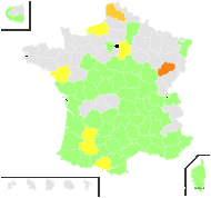 Poa cilianensis All. - carte de répartition