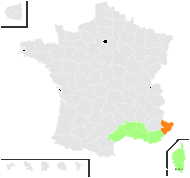 Saccharum ravennae (L.) L. - carte de répartition