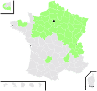 Cirsium amplum Gand. - carte de répartition