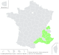 Festuca cinerea Vill. - carte de répartition