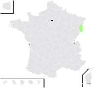Festuca duvalii (St.-Yves) Stöhr - carte de répartition