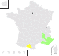 Festuca inops De Not. - carte de répartition