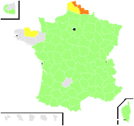 Festuca nemorum Leyss. - carte de répartition