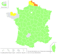 Festuca crassiculmis Gand. - carte de répartition