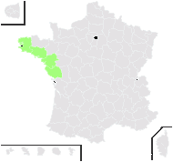 Festuca huonii Auquier - carte de répartition