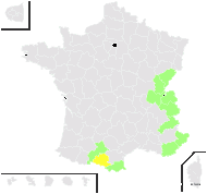 Festuca curvula Gaudin - carte de répartition