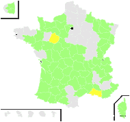 Festuca nigrescens Lam. f. nigrescens  - carte de répartition