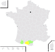 Festuca condensata Gand. - carte de répartition