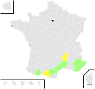 Festuca occitanica (Litard.) Auquier & Kerguélen - carte de répartition