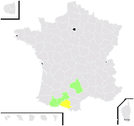 Festuca ovina subvar. bigorronensis St.-Yves - carte de répartition