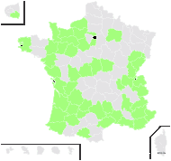 Festuca pratensis Huds. subsp. pratensis - carte de répartition