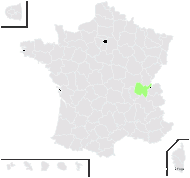 Leucopoa pulchella subsp. jurana (Gren.) H.Scholz & Foggi - carte de répartition