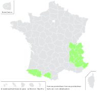 Festuca quadriflora Honck. - carte de répartition