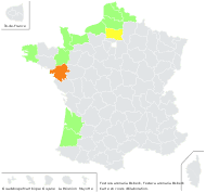 Festuca arenaria Osbeck - carte de répartition