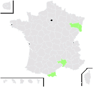 Festuca stricta subsp. sulcata (Hack.) Patzke - carte de répartition