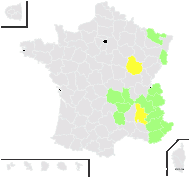 Festuca sulcata var. valesiaca P.Fourn. - carte de répartition