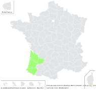 Festuca vasconcensis (Markgr.-Dann.) Auquier & Kerguélen - carte de répartition