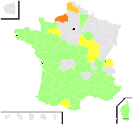 Gastridium ventricosum (Gouan) Schinz & Thell. - carte de répartition