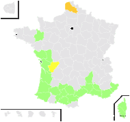 Hainardia cylindrica (Willd.) Greuter - carte de répartition