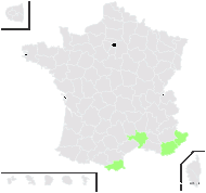 Andropogon roxburghii Nees - carte de répartition