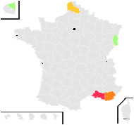 Hordeum jubatum L. subsp. jubatum - carte de répartition