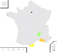 Koeleria lobata (M. Bieb.) Roem. & Schult. - carte de répartition