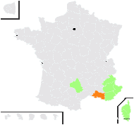 Coleostephus hybridus Lange - carte de répartition