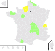 Lolium multiflorum n-var. boucheanum Beck - carte de répartition