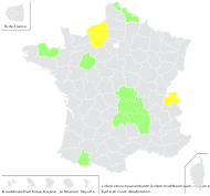 Lolium ×boucheanum Kunth - carte de répartition