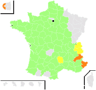 Agrostis minima L. - carte de répartition