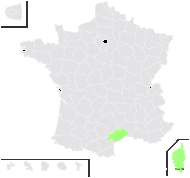 Urachne trichotoma (Nees) Trin. - carte de répartition