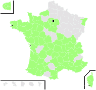 Conyza barcinonensis Sennen - carte de répartition