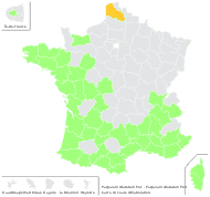 Paspalum ovatum var. grandiflorum Nees - carte de répartition