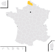 Phalaris angusta Nees ex Trin. - carte de répartition