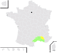 Phalaris arundinacea var. leioclada Maire - carte de répartition