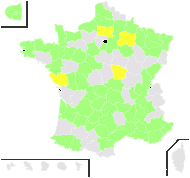 Phalaris canariensis L. - carte de répartition