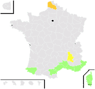 Phalaris coerulescens Desf. - carte de répartition