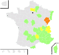 Phleum paniculatum Huds. - carte de répartition