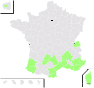 Urachne parviflora Trin. - carte de répartition