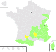 Poa alpina L. subsp. alpina - carte de répartition