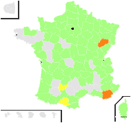 Poa pratensis var. communis Rouy - carte de répartition