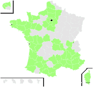 Agrostis crinita Moench - carte de répartition